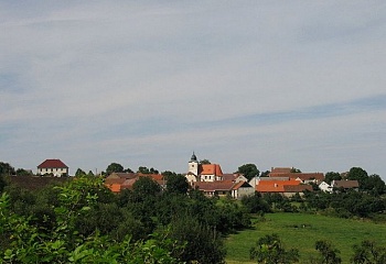 Bukovník