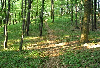 Dambořice