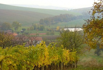 Dražůvky