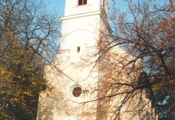 Skoronice