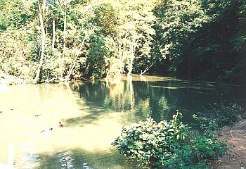 Syrovín
