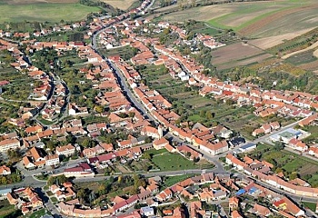 Šardice