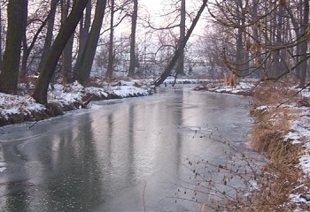 Lochenice
