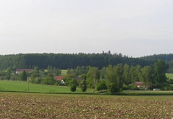Lužany
