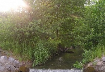 Lužany