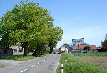 Máslojedy