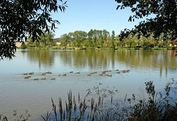 Přestavlky