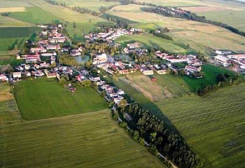 Sviny