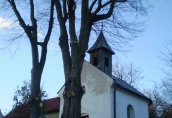 Košíky
