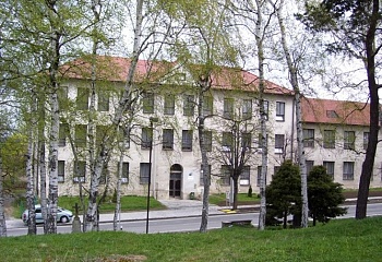 Předín
