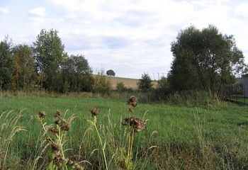 Lišany