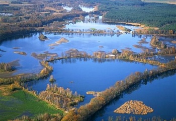 Veselí nad Lužnicí