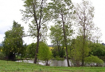 Rudíkov