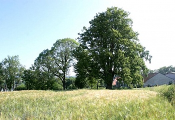 Rožmitál pod Třemšínem