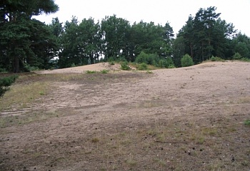 Vlkov