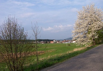 Sádek