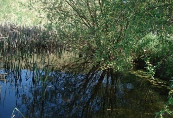 Malhostovice