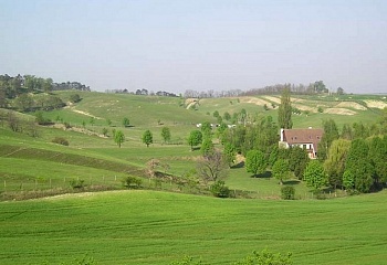 Želetice