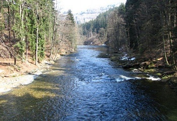 Poniklá