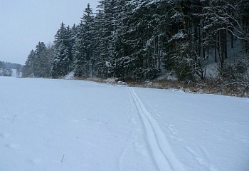 Štichov