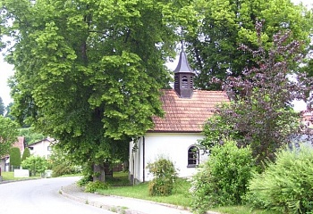 Dubovice