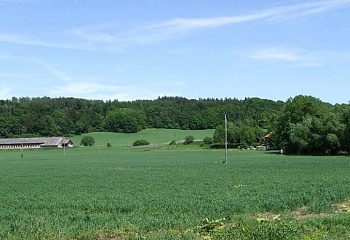 Račice nad Trotinou