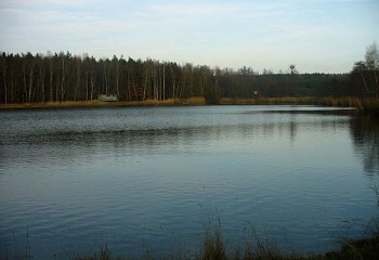 Radíkovice