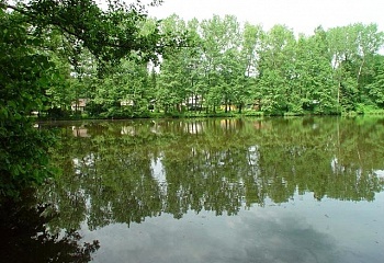 Lužná