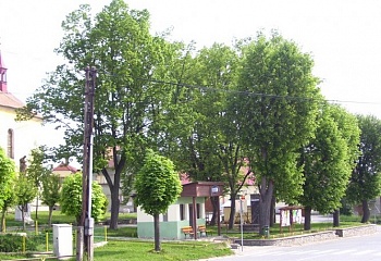 Hořepník