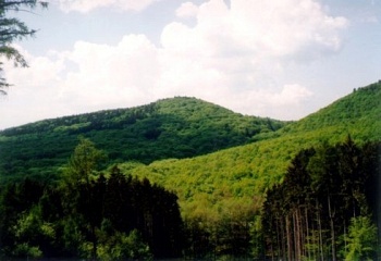Osvětimany