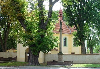 Olešná