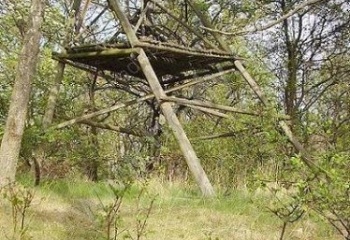 Oráčov