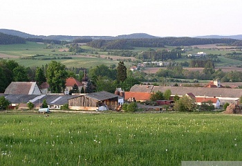 Čestice