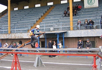 Čestice