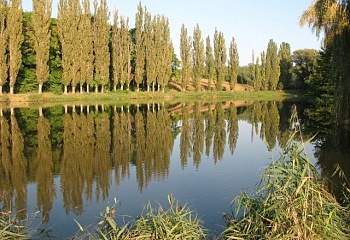 Borkovany