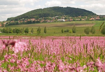 Kublov