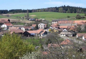 Osiky