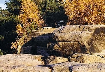 Cvikov