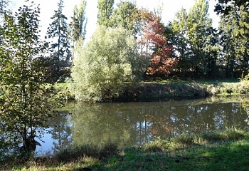 Skalice