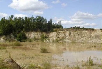 Drachkov