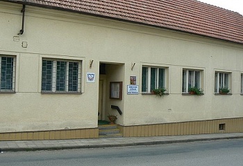 Nemotice