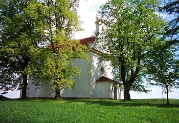 Neprobylice