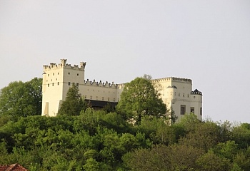 Nesovice