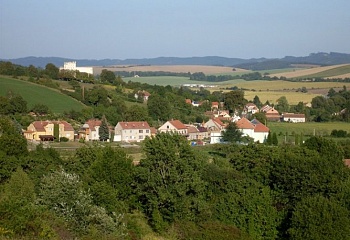 Nesovice