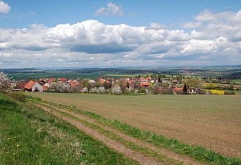 Příčina