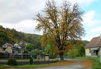 Pustověty