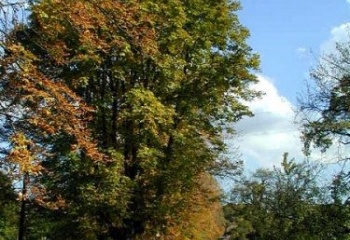 Lahošť