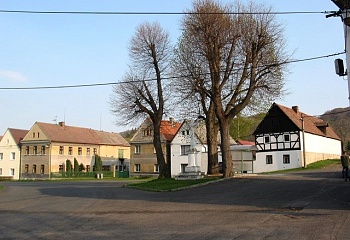 Žim