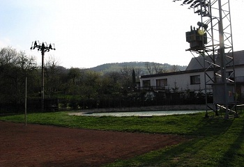 Žim
