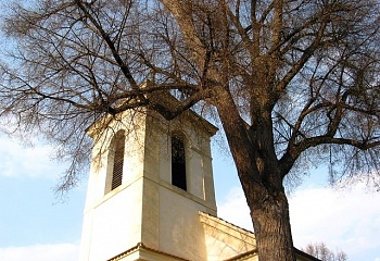 Žim